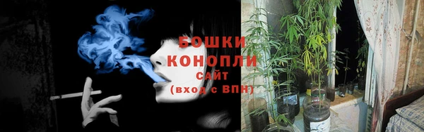 2c-b Надым