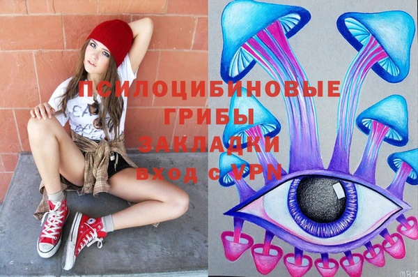 стафф Сураж