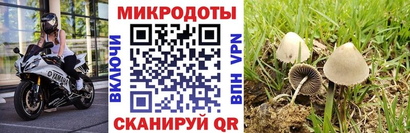 omg ТОР  Сосновоборск  Галлюциногенные грибы GOLDEN TEACHER 