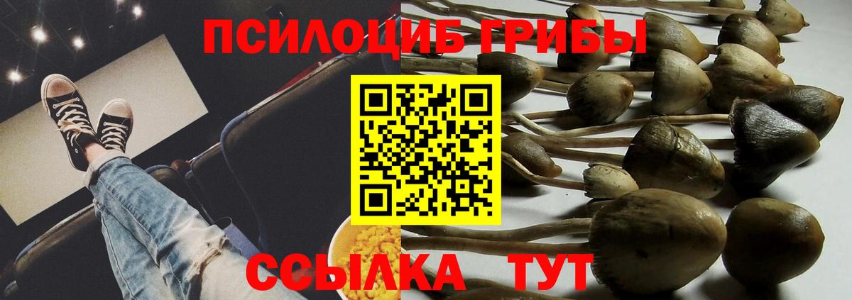 Галлюциногенные грибы Cubensis  Сосновоборск  продажа наркотиков  Галлюциногенные грибы Magic Shrooms 