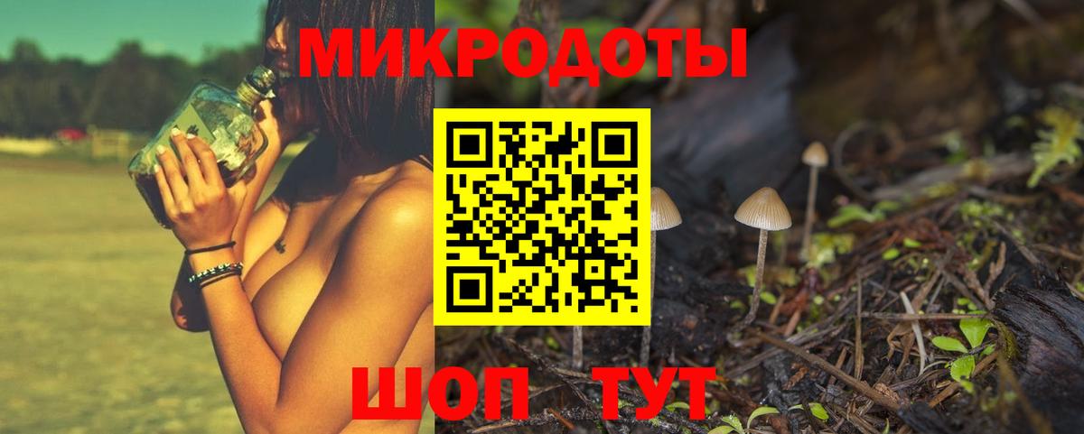 Сосновоборск  Псилоцибиновые грибы Psilocybe  Вход с VPN 